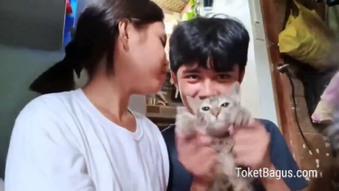 Bokep adik kakak awalnya main kucing eh jadi main kontol